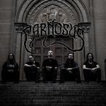 Carnosus
