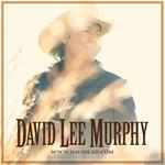 David Lee Murphy