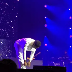 concert photo