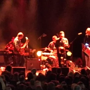 concert photo