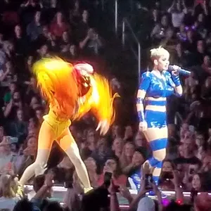 concert photo