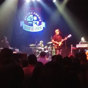 concert photo